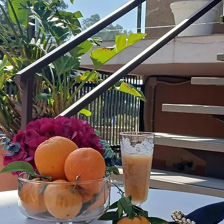 I Segreti Della Valle Agrigento