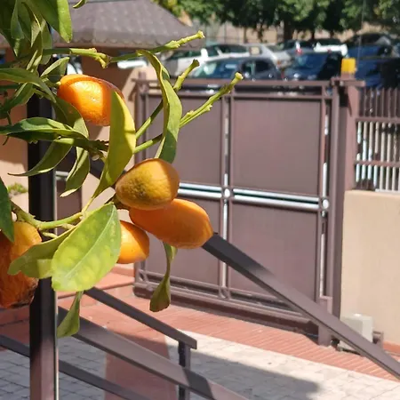Bed & Breakfast I Segreti Della Valle Agrigento